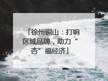 徐州铜山：打响区域品牌，助力“杏”福经济