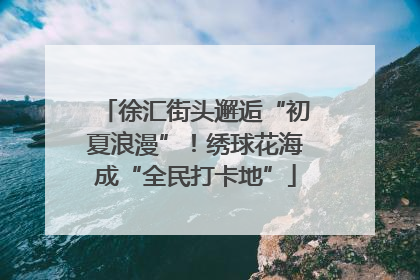 徐汇街头邂逅“初夏浪漫”！绣球花海成“全民打卡地”
