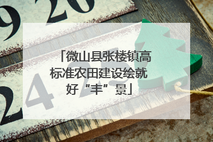 微山县张楼镇高标准农田建设绘就好“丰”景