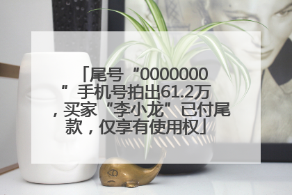 尾号“0000000”手机号拍出61.2万，买家“李小龙”已付尾款，仅享有使用权