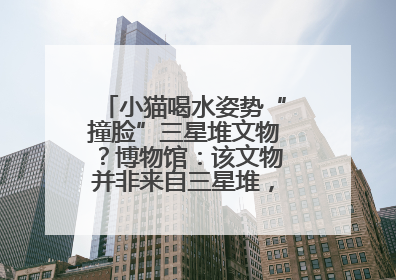 小猫喝水姿势“撞脸”三星堆文物？博物馆：该文物并非来自三星堆，有可能是它