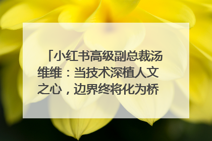 小红书高级副总裁汤维维：当技术深植人文之心，边界终将化为桥梁｜聚焦2025文化强国建设高峰论坛