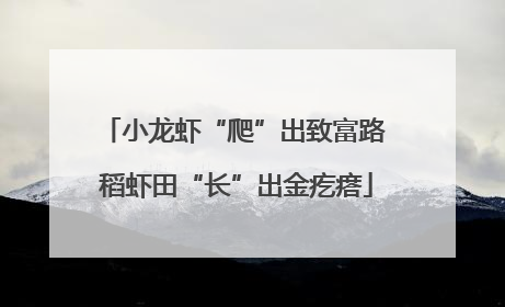 小龙虾“爬”出致富路 稻虾田“长”出金疙瘩