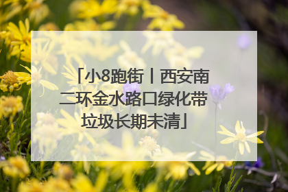 小8跑街丨西安南二环金水路口绿化带垃圾长期未清