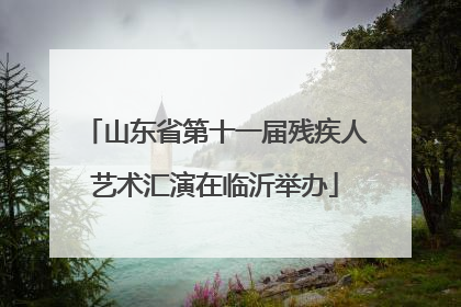 山东省第十一届残疾人艺术汇演在临沂举办
