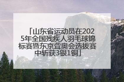 山东省运动员在2025年全国残疾人羽毛球锦标赛暨东京聋奥会选拔赛中斩获3银1铜