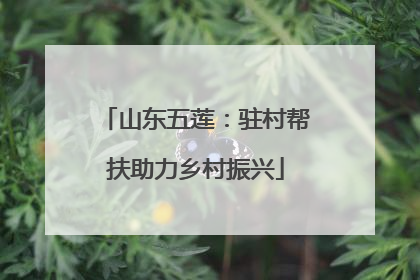 山东五莲：驻村帮扶助力乡村振兴
