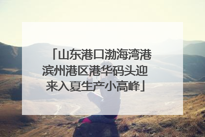 山东港口渤海湾港滨州港区港华码头迎来入夏生产小高峰