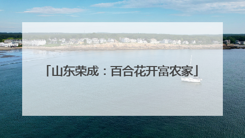 山东荣成：百合花开富农家