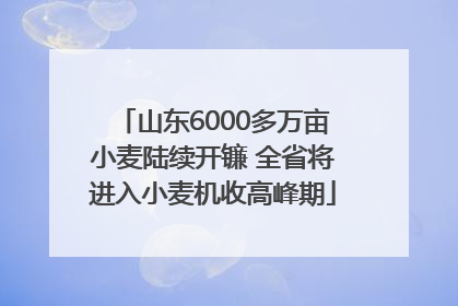 山东6000多万亩小麦陆续开镰 全省将进入小麦机收高峰期