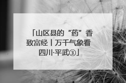 山区县的“药”香致富经丨万千气象看四川·平武③