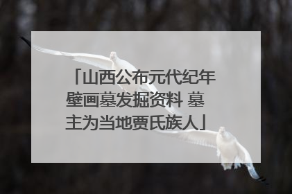 山西公布元代纪年壁画墓发掘资料 墓主为当地贾氏族人