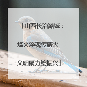 山西长治潞城：烽火淬魂传薪火 文明聚力绘振兴