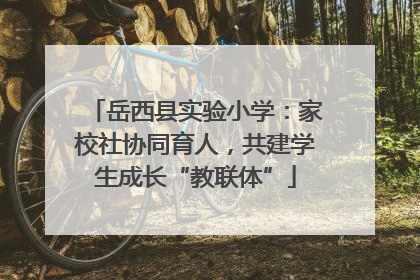 岳西县实验小学：家校社协同育人，共建学生成长“教联体”