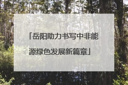 岳阳助力书写中非能源绿色发展新篇章