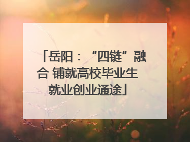 岳阳：“四链”融合 铺就高校毕业生就业创业通途