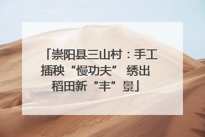 崇阳县三山村：手工插秧“慢功夫” 绣出稻田新“丰”景