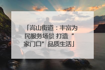 嵩山街道：丰富为民服务场景 打造“家门口”品质生活