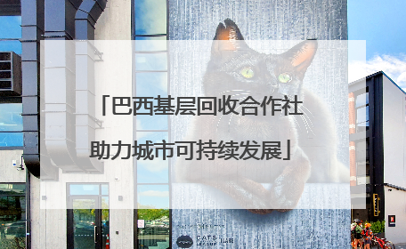 巴西基层回收合作社助力城市可持续发展