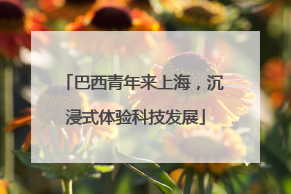 巴西青年来上海，沉浸式体验科技发展