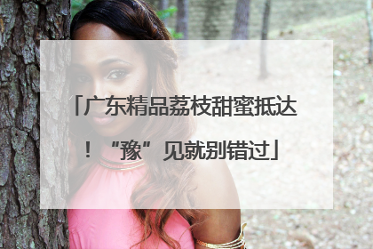 广东精品荔枝甜蜜抵达！“豫”见就别错过