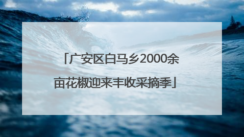 广安区白马乡2000余亩花椒迎来丰收采摘季