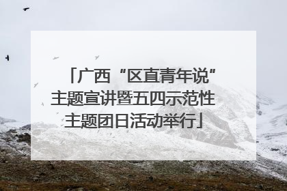 广西“区直青年说”主题宣讲暨五四示范性主题团日活动举行