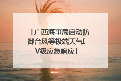 广西海事局启动防御台风等极端天气IV级应急响应