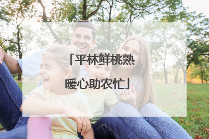 平林鲜桃熟 暖心助农忙