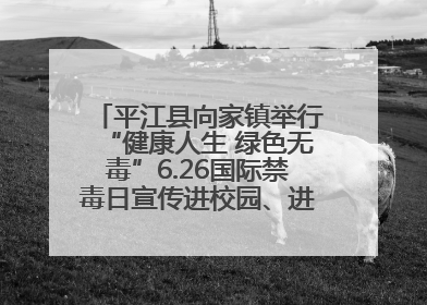 平江县向家镇举行“健康人生 绿色无毒”6.26国际禁毒日宣传进校园、进社区活动