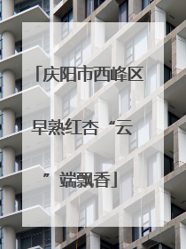 庆阳市西峰区 早熟红杏“云”端飘香