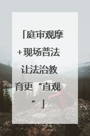 庭审观摩+现场普法 让法治教育更“直观”