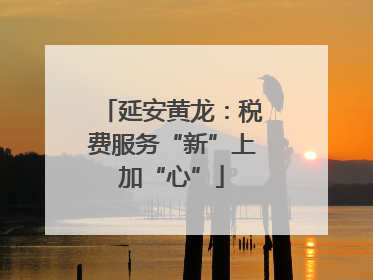 延安黄龙：税费服务“新”上加“心”