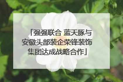 强强联合 蓝天豚与安徽头部装企荣锋装饰集团达成战略合作