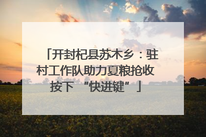 开封杞县苏木乡：驻村工作队助力夏粮抢收按下 “快进键”