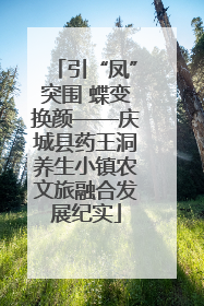 引“凤”突围 蝶变换颜——庆城县药王洞养生小镇农文旅融合发展纪实