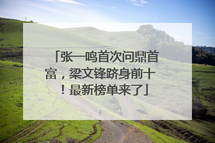 张一鸣首次问鼎首富，梁文锋跻身前十！最新榜单来了
