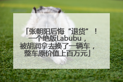 张朝阳后悔“退货”！一个绝版Labubu，被胡润拿去换了一辆车，整车原价值上百万元