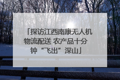 探访江西南康无人机物流配送 农产品十分钟“飞出”深山