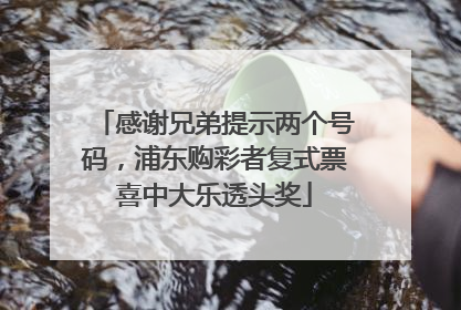 感谢兄弟提示两个号码，浦东购彩者复式票喜中大乐透头奖