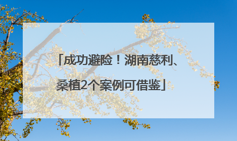 成功避险！湖南慈利、桑植2个案例可借鉴