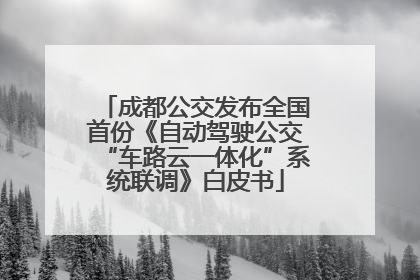 成都公交发布全国首份《自动驾驶公交“车路云一体化”系统联调》白皮书