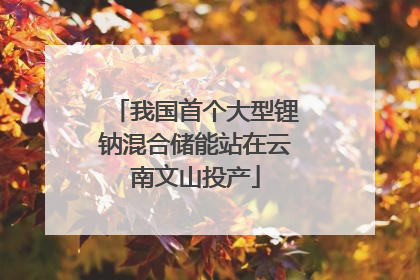 我国首个大型锂钠混合储能站在云南文山投产