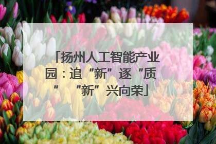 扬州人工智能产业园：追“新”逐“质” “新”兴向荣