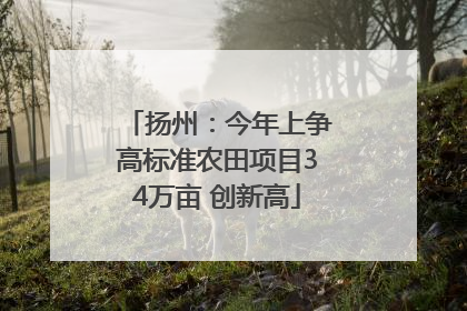 扬州：今年上争高标准农田项目34万亩 创新高