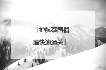 护航泰国榴莲快速通关