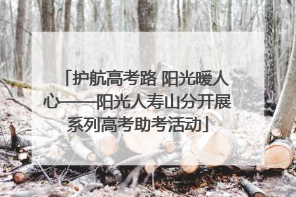 护航高考路 阳光暖人心——阳光人寿山分开展系列高考助考活动