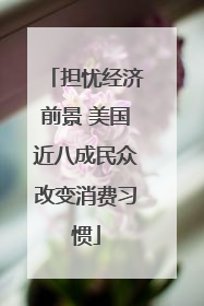 担忧经济前景 美国近八成民众改变消费习惯