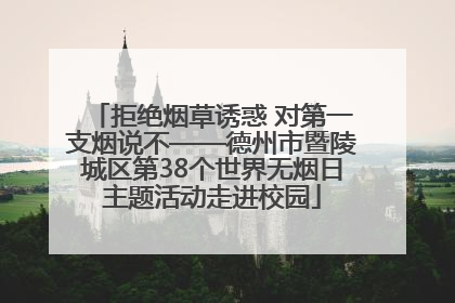 拒绝烟草诱惑 对第一支烟说不——德州市暨陵城区第38个世界无烟日主题活动走进校园