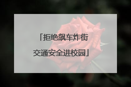 拒绝飙车炸街 交通安全进校园